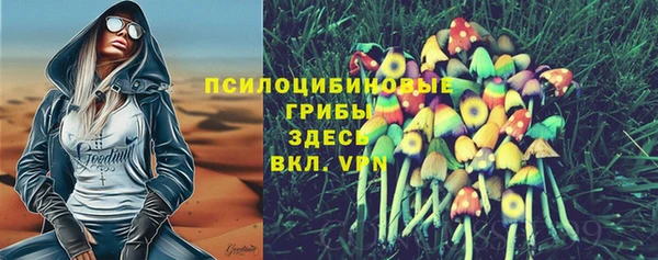 герыч Пестово