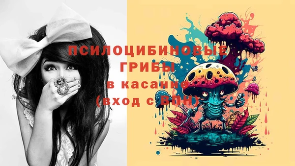 дурь Михайловск
