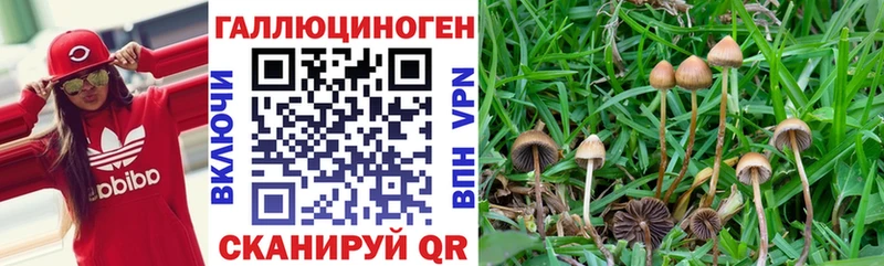 Галлюциногенные грибы ЛСД  Суздаль 