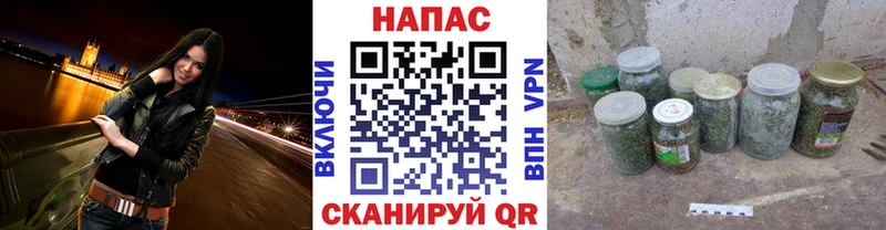 Марихуана сатива  MEGA как войти  Суздаль 